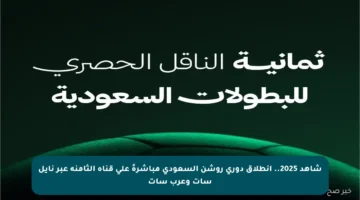 شاهد 2025.. انطلاق دوري روشن السعودي مباشرةً على قناة الثامنة عبر نايل سات وعرب سات